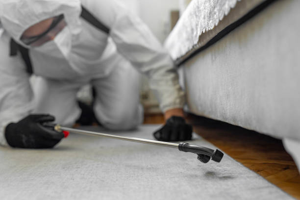 Professional Ant Control technician working in Moreland, ID